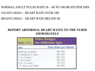 Normal Adult Heart Rate